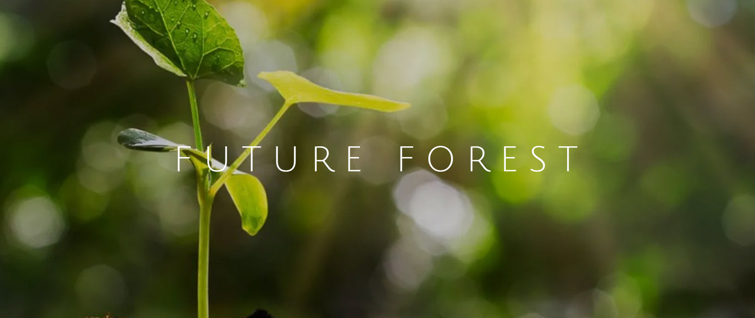 FUTURE FOREST